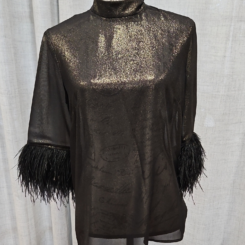 Fab NWT Black Sheer Blouse with Feather Accents